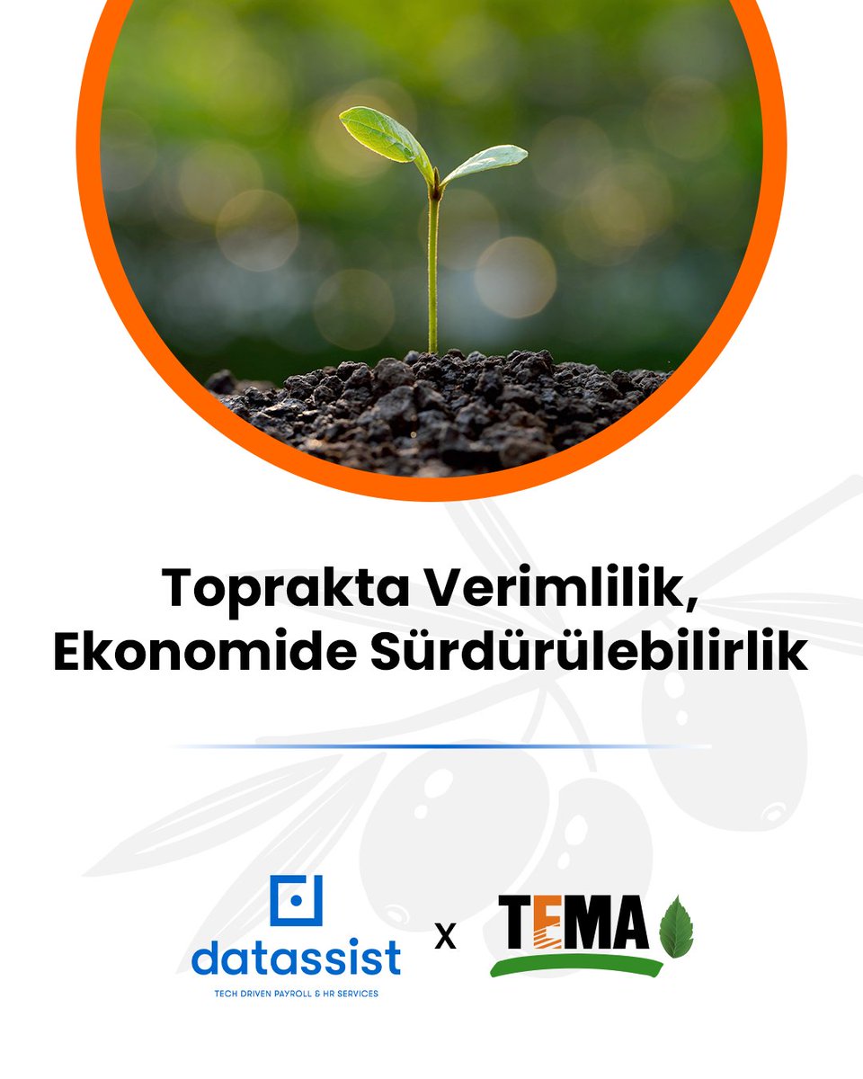 Datassist, bordro ve insan kaynağı yönetimindeki uzmanlığını yalnızca iş dünyasına değil, topluma değer katacak sürdürülebilir projelere de taşıyor. 🌱

“Zeytinlik Alanlarda Yeşil Gübreleme: Ezine Örneği” projesi ile toprakta verimliliği artıran, ekonomide sürdürülebilirliği