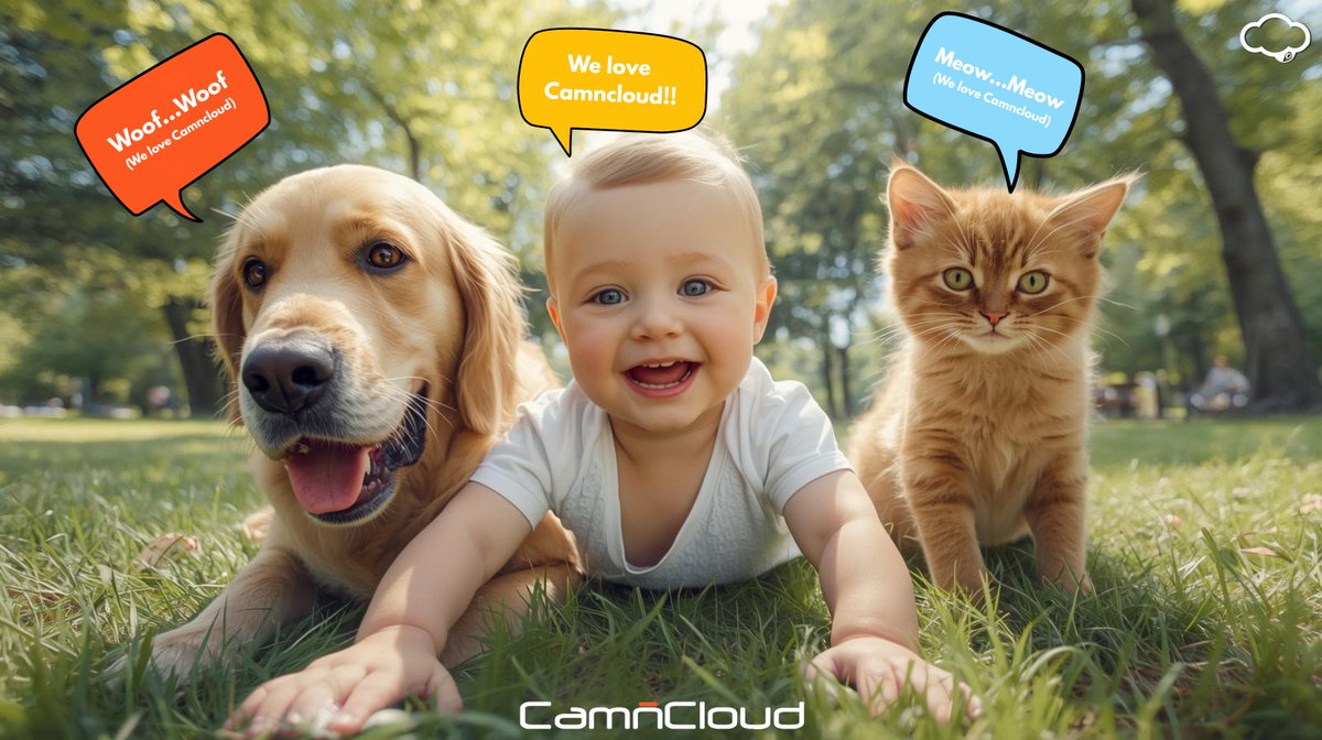 Camncloud tweet media
