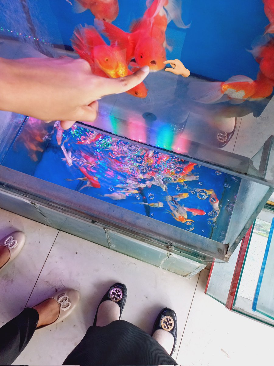 reere bluee (@hannybubbly) on Twitter photo 