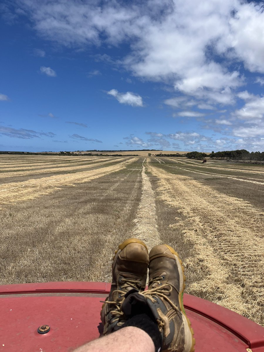 Matthew Bell tweet media