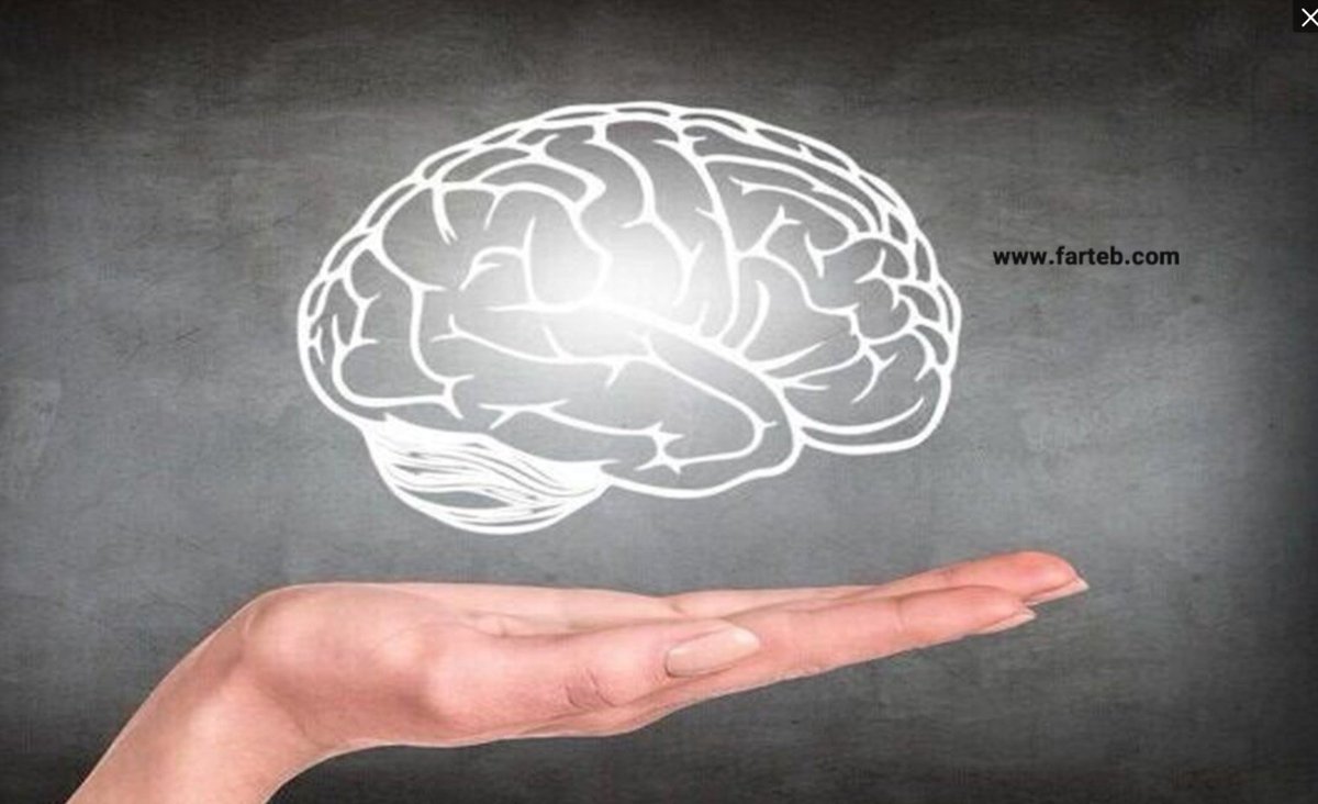 #المشعل 🟥 الرجاحة 🟥 هناك أناس يمدحون برجاحة عقولهم * وهؤلاء يأمنهم محيطهم والناس * وهم قادة الخير * وينتظر منهم مايحمد عند الله وخلقه *
وهناك أناس لا نستطيع أن نمدحهم برجاحة عقولهم * والحل يكمن بالزمن * وتقدم السن * ونتائج التجارب * وتكثيف توعيتهم  ( إذا لم يكونوا من المتكبرين