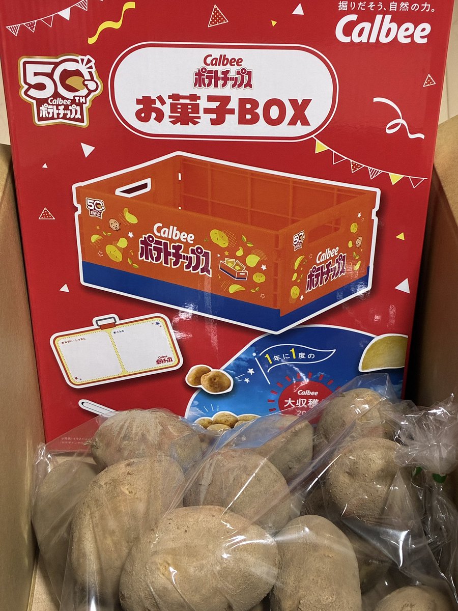 デビチル　キャンペーン　当選品 ゼインアーツ2025年新商品「ロートードテーブル」 | キャンプレビュー