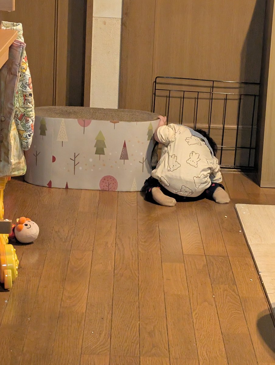 ネコにオモチャを持っていかれて今コレ