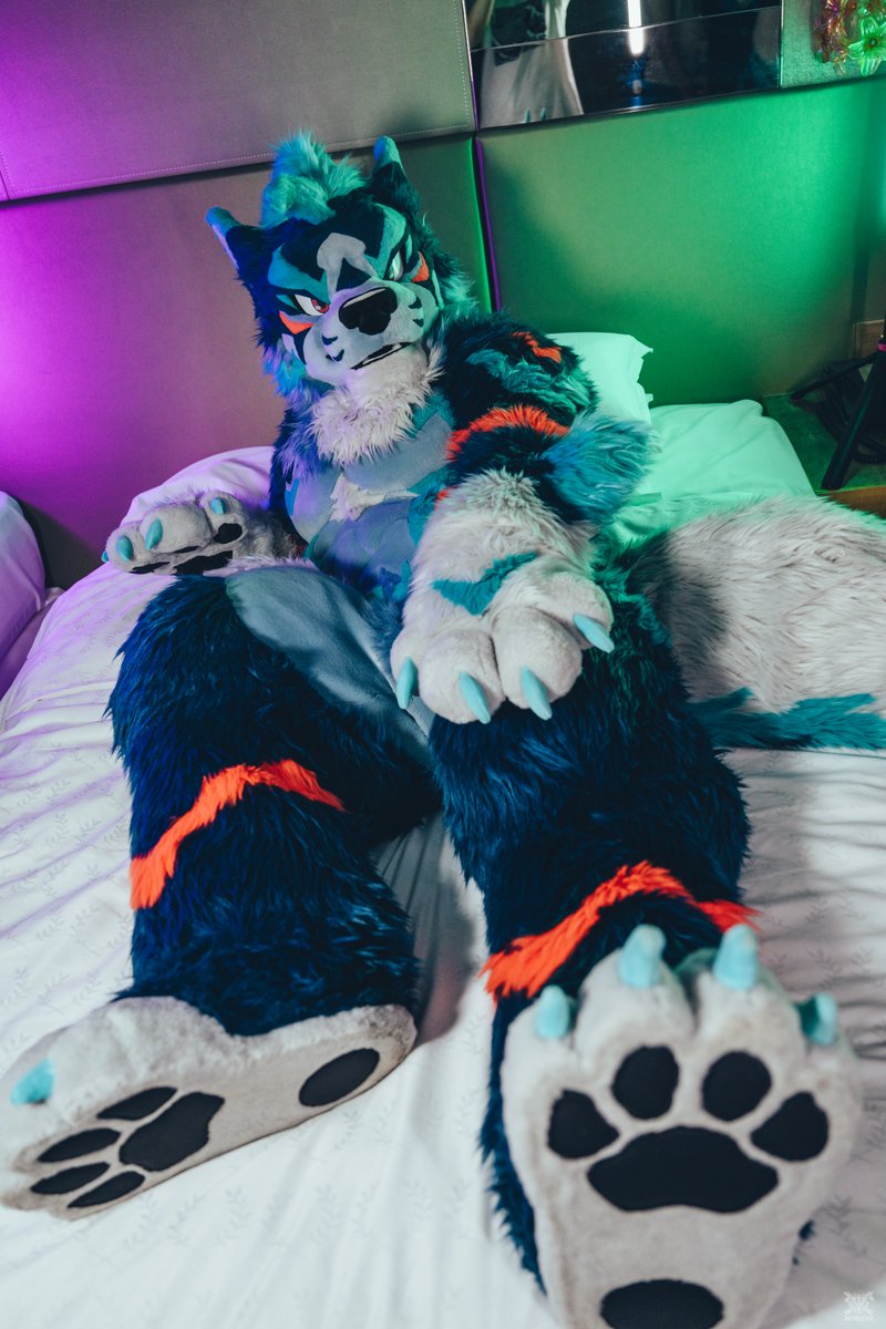 Zexas_ookami's tweet image. Just taking some rest 😛
📸 @VinTheCoyote 
#FursuitFriday