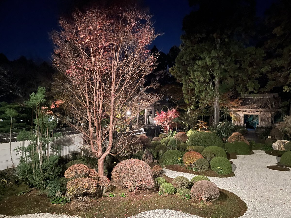 Kemonokai's tweet image. 流石に夜間だけあって結構寒かったので早めに帰宅

もう少しカイロとかちゃんと持ってきておけば良かったですね💦

それにしても夜間のお寺の雰囲気とても良かった

ライトアップされた庭園と紅葉はとても幻想的で美しく、良い目の保養になりました
#龍潭寺