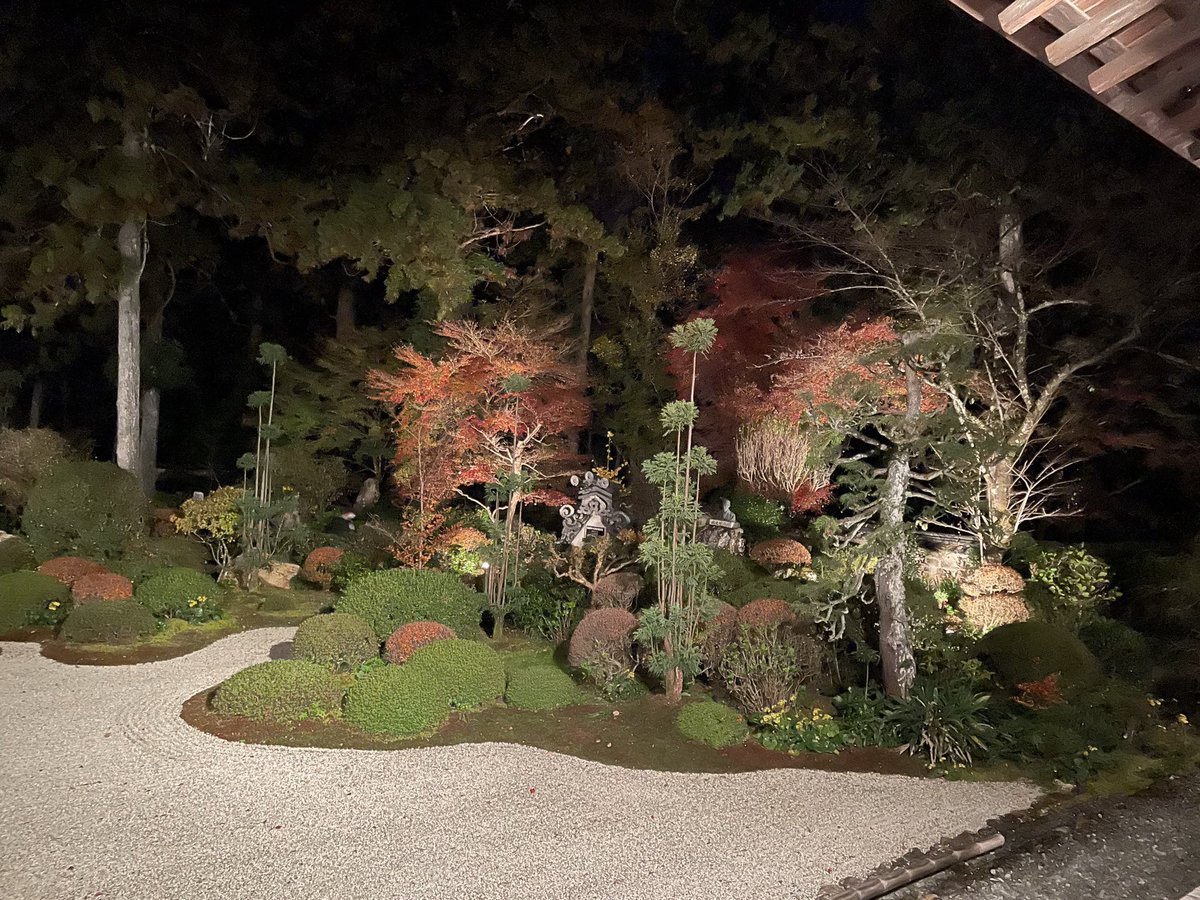 Kemonokai's tweet image. 流石に夜間だけあって結構寒かったので早めに帰宅

もう少しカイロとかちゃんと持ってきておけば良かったですね💦

それにしても夜間のお寺の雰囲気とても良かった

ライトアップされた庭園と紅葉はとても幻想的で美しく、良い目の保養になりました
#龍潭寺