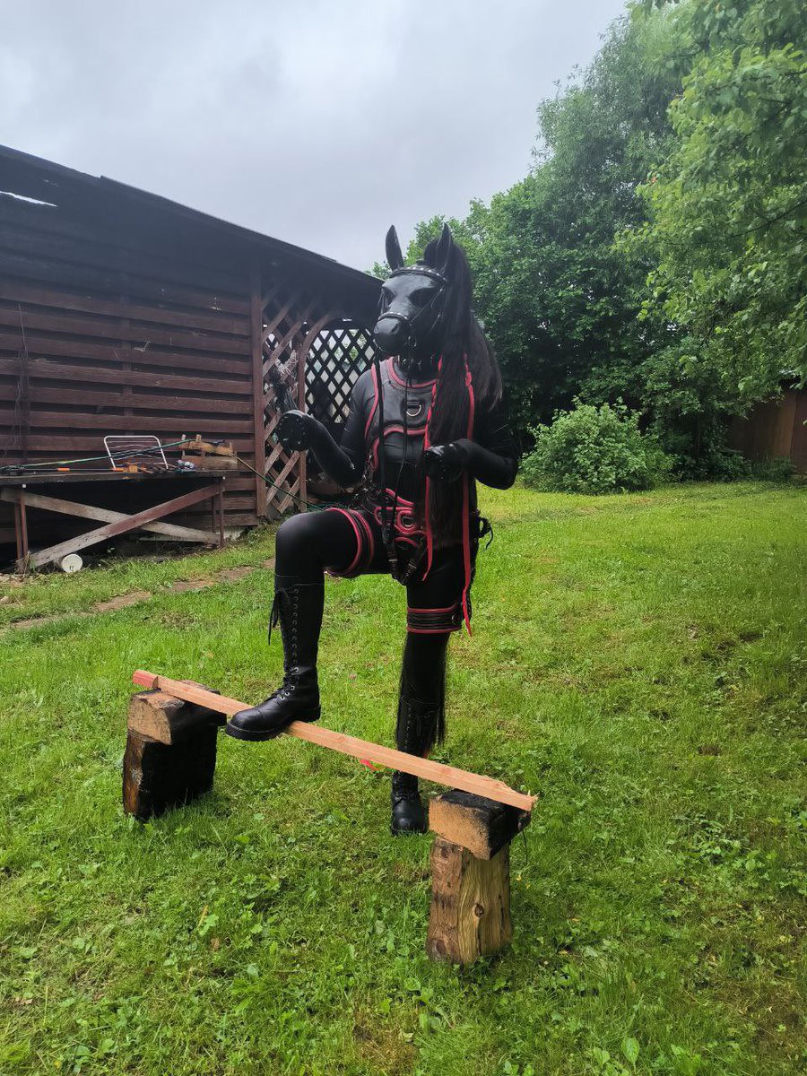 Shiny Pony tweet media