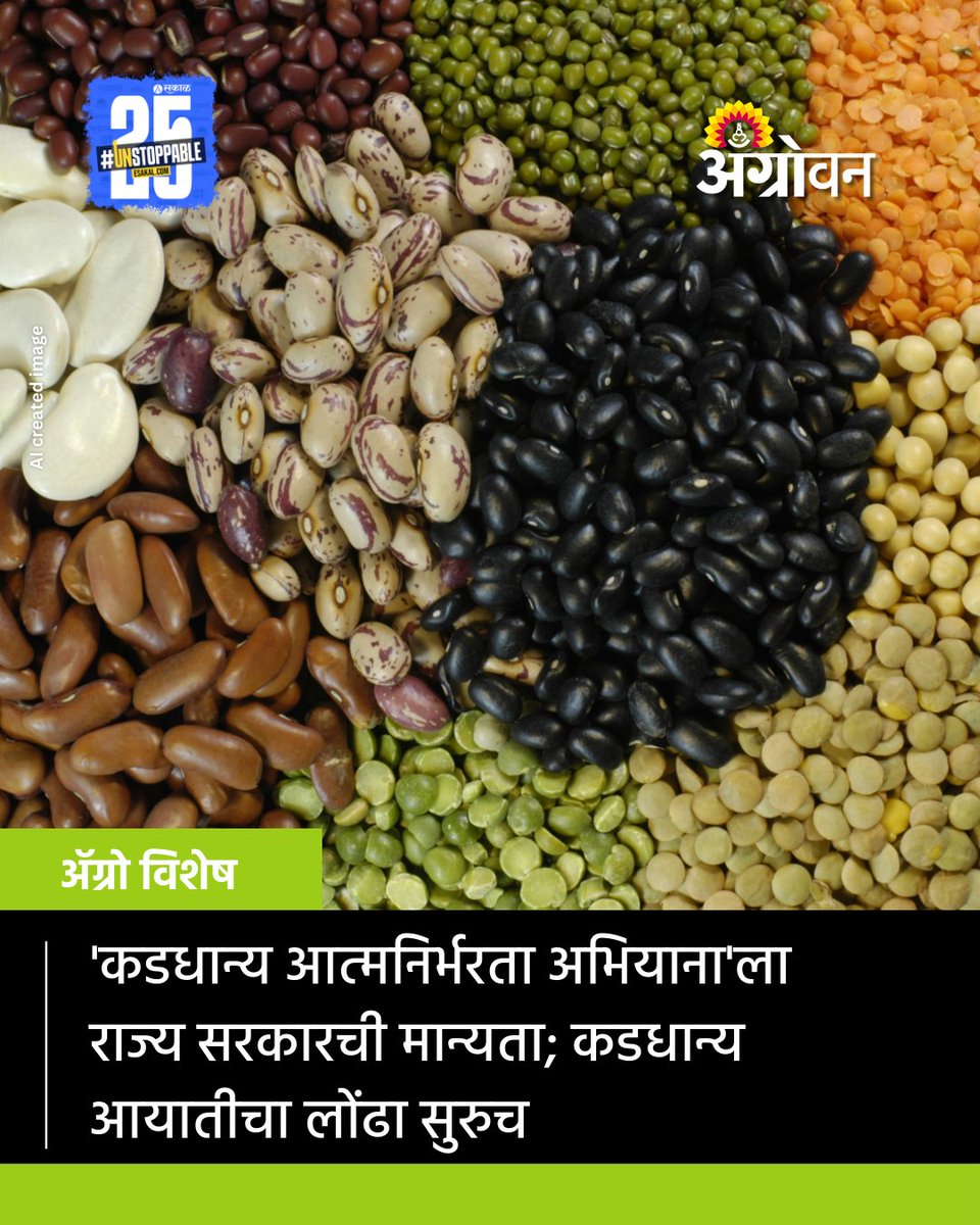 AGROWON's tweet image. केंद्र सरकार कडधान्य उत्पादनातील तूट भरून काढण्यासह आयात कमी करण्यासाठी कडधान्य आत्मनिर्भरता अभियान राबवत आहे. याच कडधान्य आत्मनिर्भरता अभियानाला राबवण्यासाठी राज्य सरकारने प्रशासकीय मान्यता शुक्रवार (ता.28) दिली आहे.
agrowon.esakal.com/agro-special/m…
#maharashtragovernment #pulses