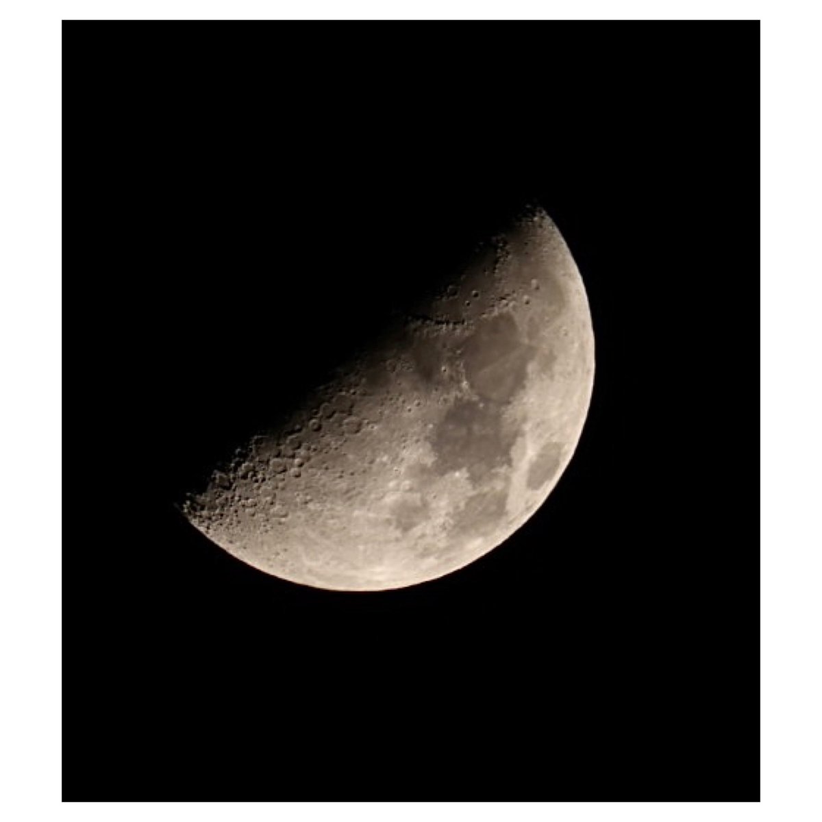 mogo1080's tweet image. @twinkleu_u 
かんちゃん❣️
今日はかんちゃんの日
#上弦の日
#お散歩カメラマン #EOS