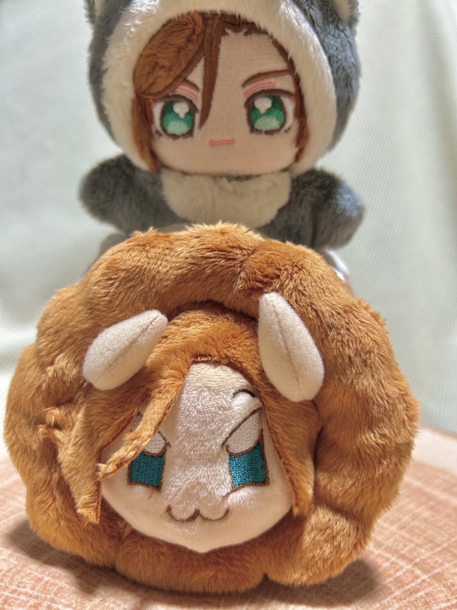 nmmt_hima's tweet image. 増えた…かわいい、寝癖なおしたけどワイルドだな