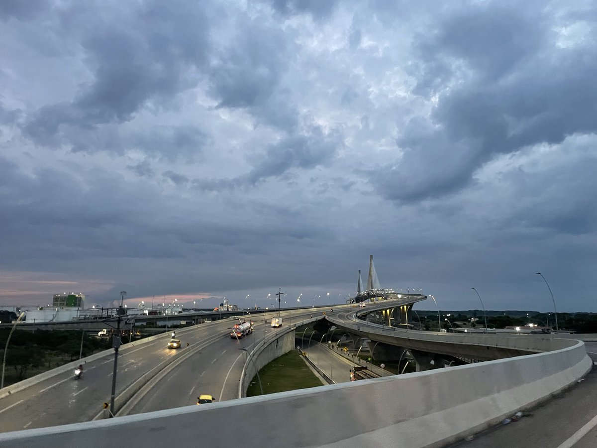 Susana De León tweet media