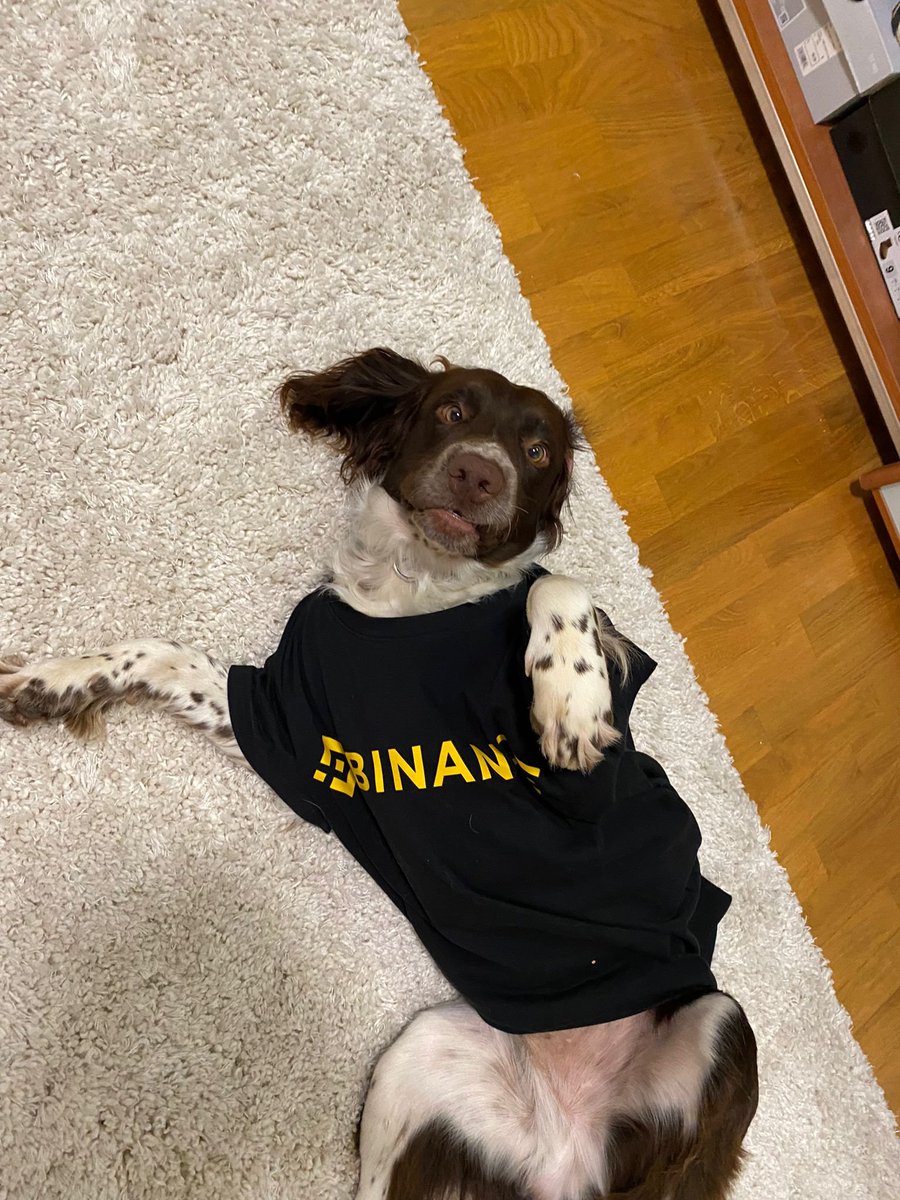 Weekend mode: activated.