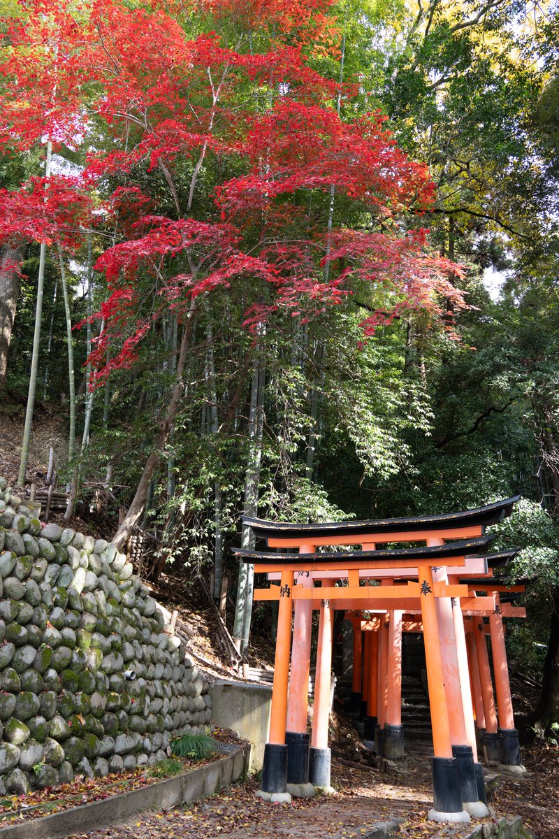 Jake Jung （ジェイク・ヤング） tweet media