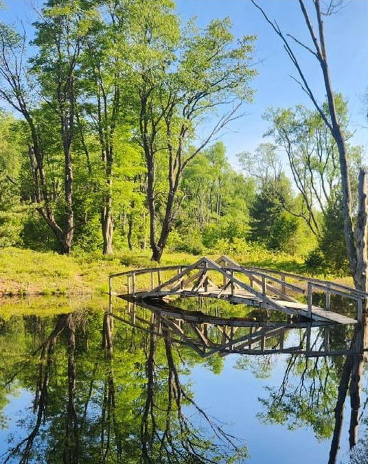 PaPFF's tweet image. Skip the line and #OptOutside today! Need suggestions on a place to explore? Check out our blog on trails in PA state forests at paparksandforests.org/miles-of-beaut…