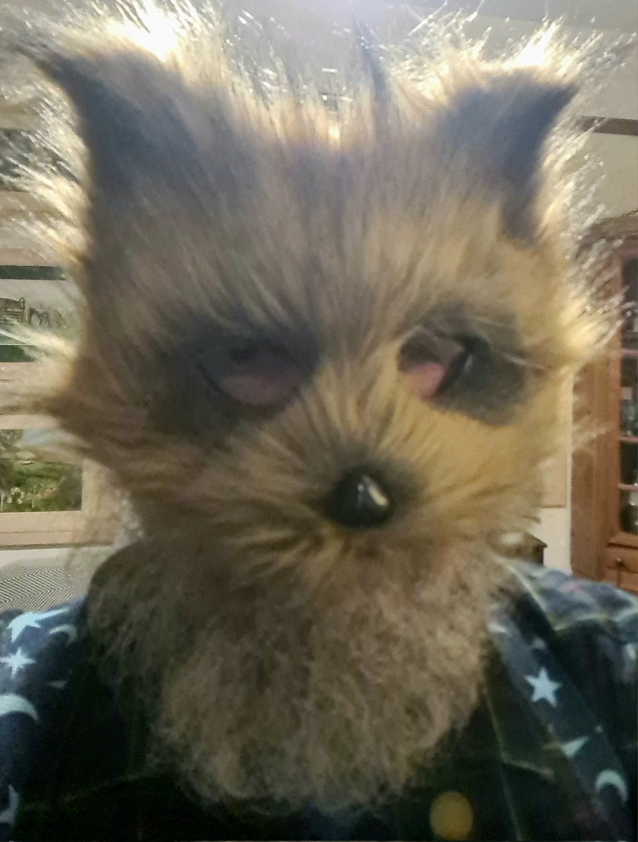 gnome_alice's tweet image. Just had my first shave in ages .
Before and after.
Do you think it&apos;s an improvement?;