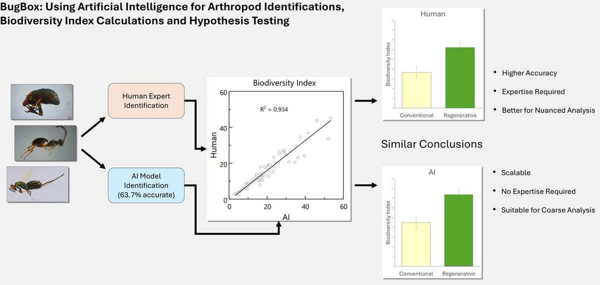 AnimalEcology's tweet image. 🕷️ Evaluation of BugBox, a software platform for AI-assisted bioinventories of arthropods 

📖 Read the full paper here➡️ buff.ly/3GMV0Is