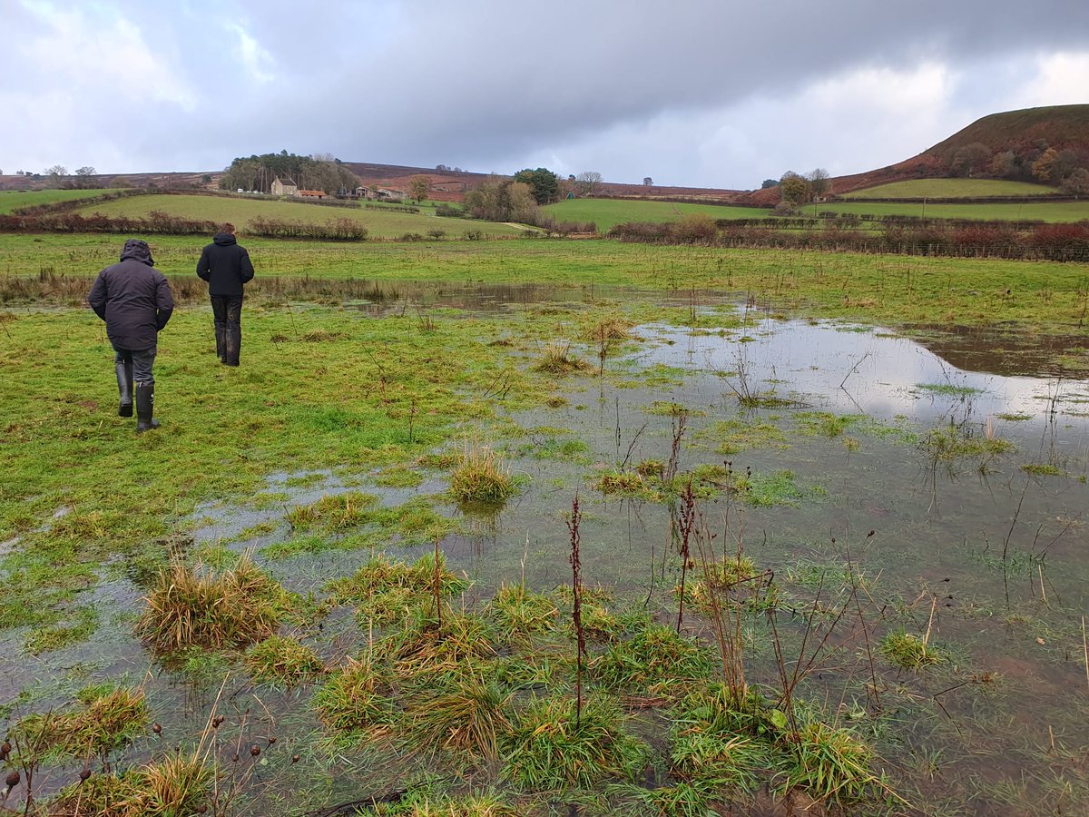 Yorkshire Derwent Catchment Partnership tweet media