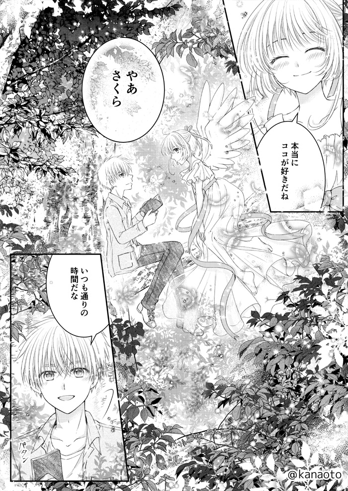 kanaoto's tweet image. パロしゃおさ
天使さくら×人間小狼