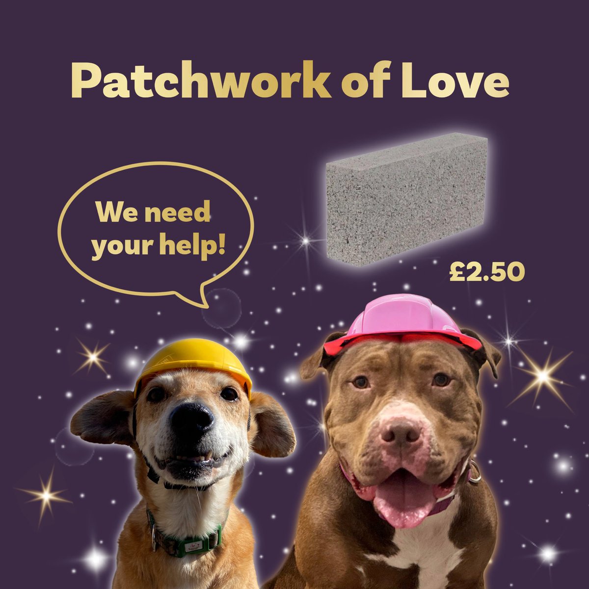 Can you help Supawvisor Stu and Supawvisor Sadie? They need to buy all the breeze blocks for the new log cabin at Rescue World. They are just £2.50 each in Stu’s shop🤞🤞

dogs4rescue.co.uk/product/breeze…

Our Patchwork of Love idea means everyone can play a part in getting this building