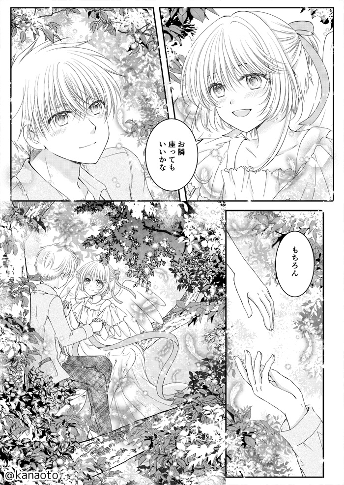 kanaoto's tweet image. パロしゃおさ
天使さくら×人間小狼