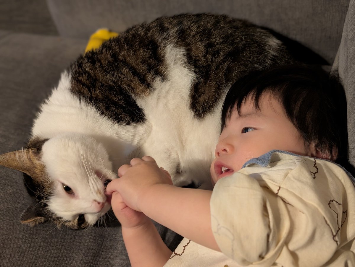 尻枕かじりネコ…