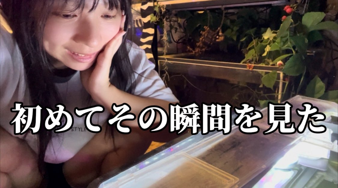 9-nine- (@xasQyZrTsf8EsFQ) / Posts and Replies / X