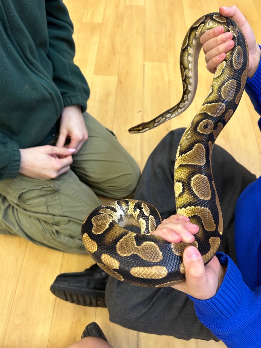 Long Ridings Primary School tweet media