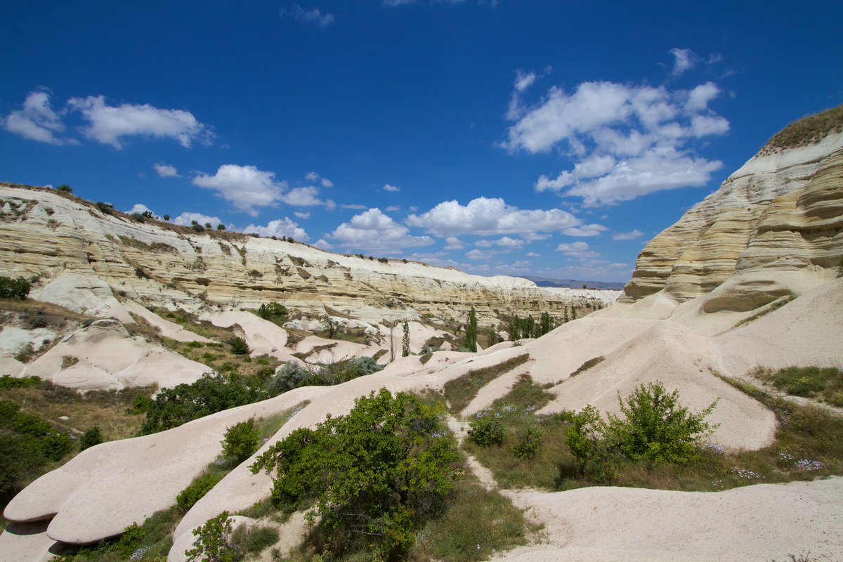 Does anyone recognise this?