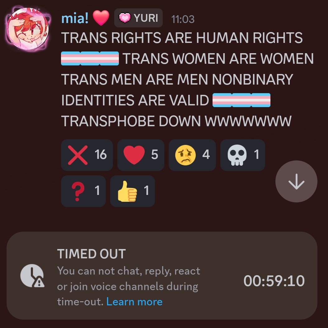 mia3as's tweet image. timed out for an hour and flooded with transphobia in the iiSU chat for saying trans rights are human rights 😋😋