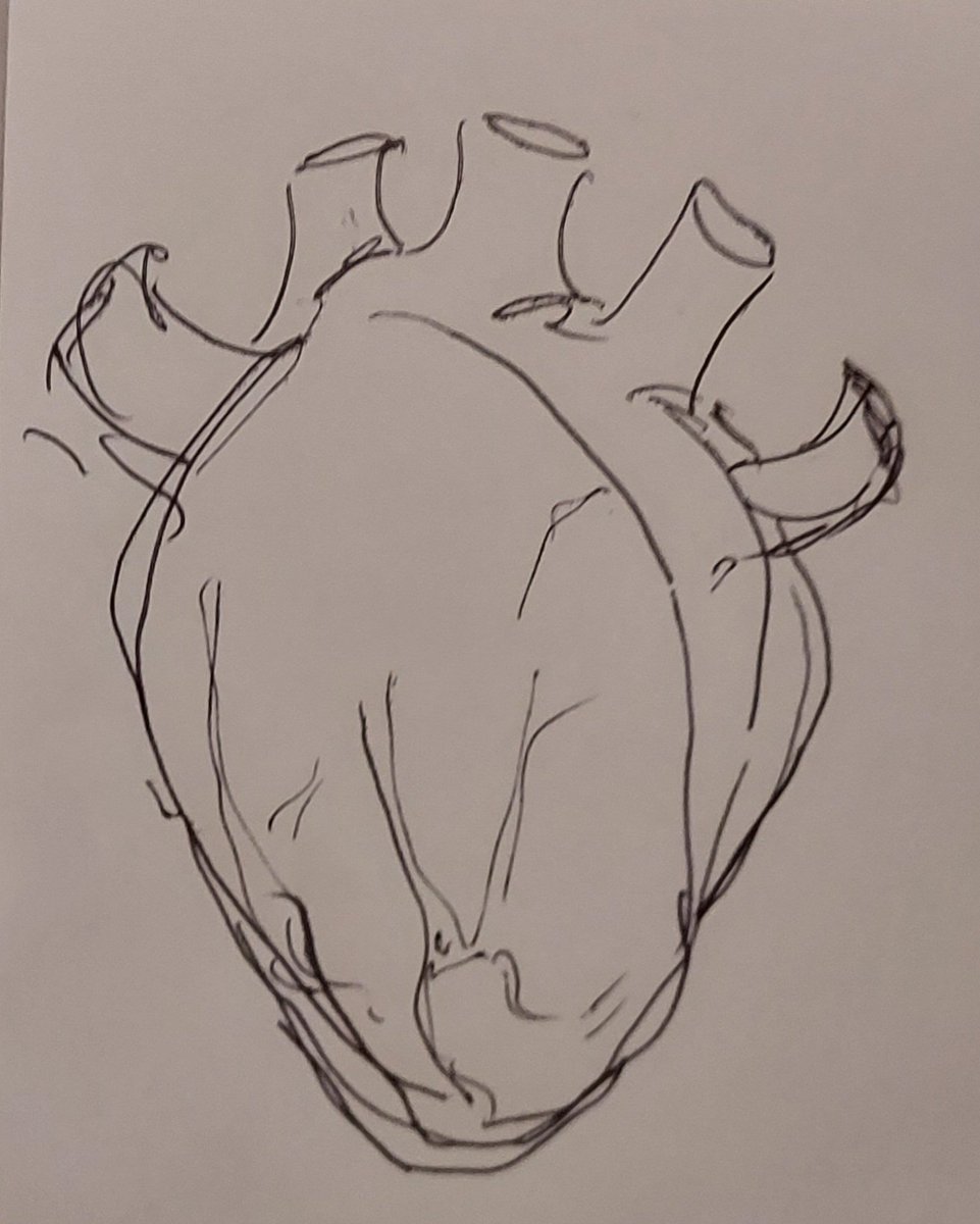 CastletownR's tweet image. 🕯Friday Focus- Ty 'Gifts &amp;amp; Talents' in a week of Thanksgiving. A great sense of joy in sharing art, music &amp;amp; song while giving thanks for Faith, Family &amp;amp; Friends, the conerstones of Wellbeing. GRMA @rockwellcollege &amp;amp; @StMarysNenagh .🌟