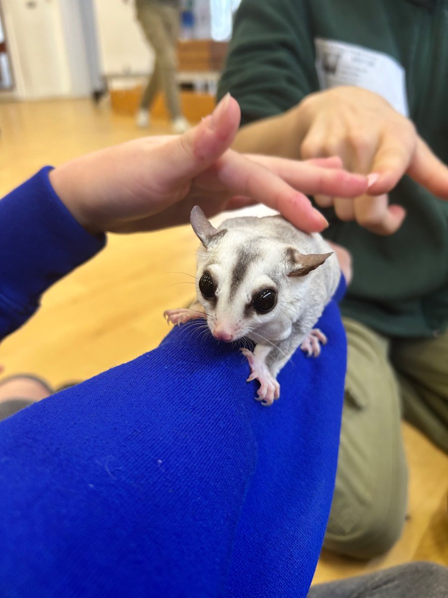 Long Ridings Primary School tweet media