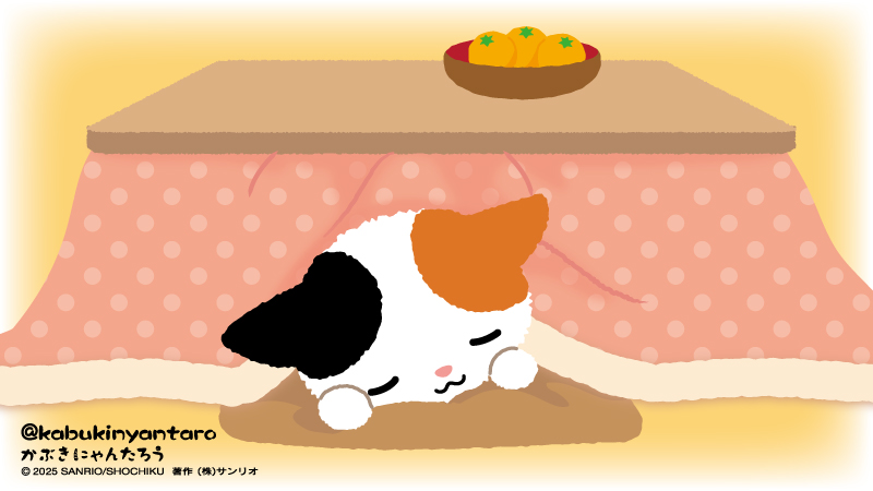 まいとわ834 にゃんたろう君は、ゆったり過ごしています笑