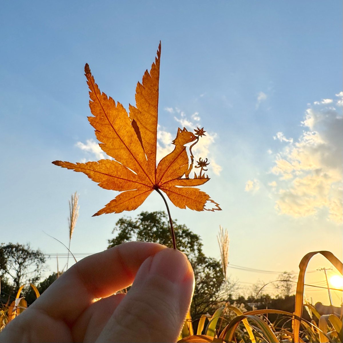 lito_leafart's tweet image. ｢小さい秋が、ここにもほら｣

#紅葉🍁