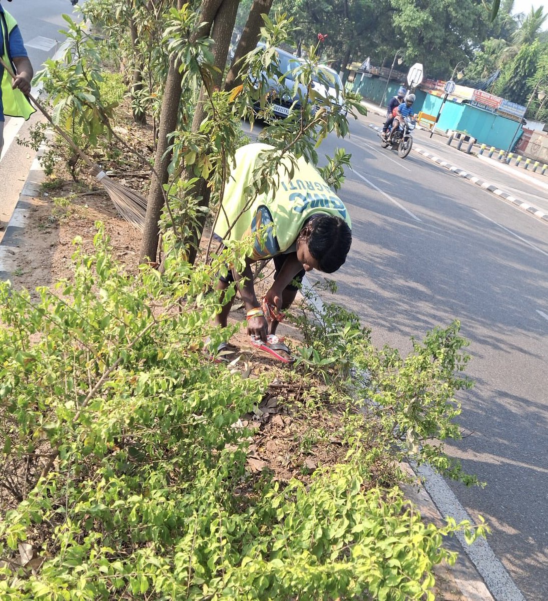 BSCL_BBSR's tweet image. City medians and landscaping are routinely maintained by having trees trimmed, garbage picked up, bushes clipped, and plants replaced. 

#UrbanGreening #CityMaintenance