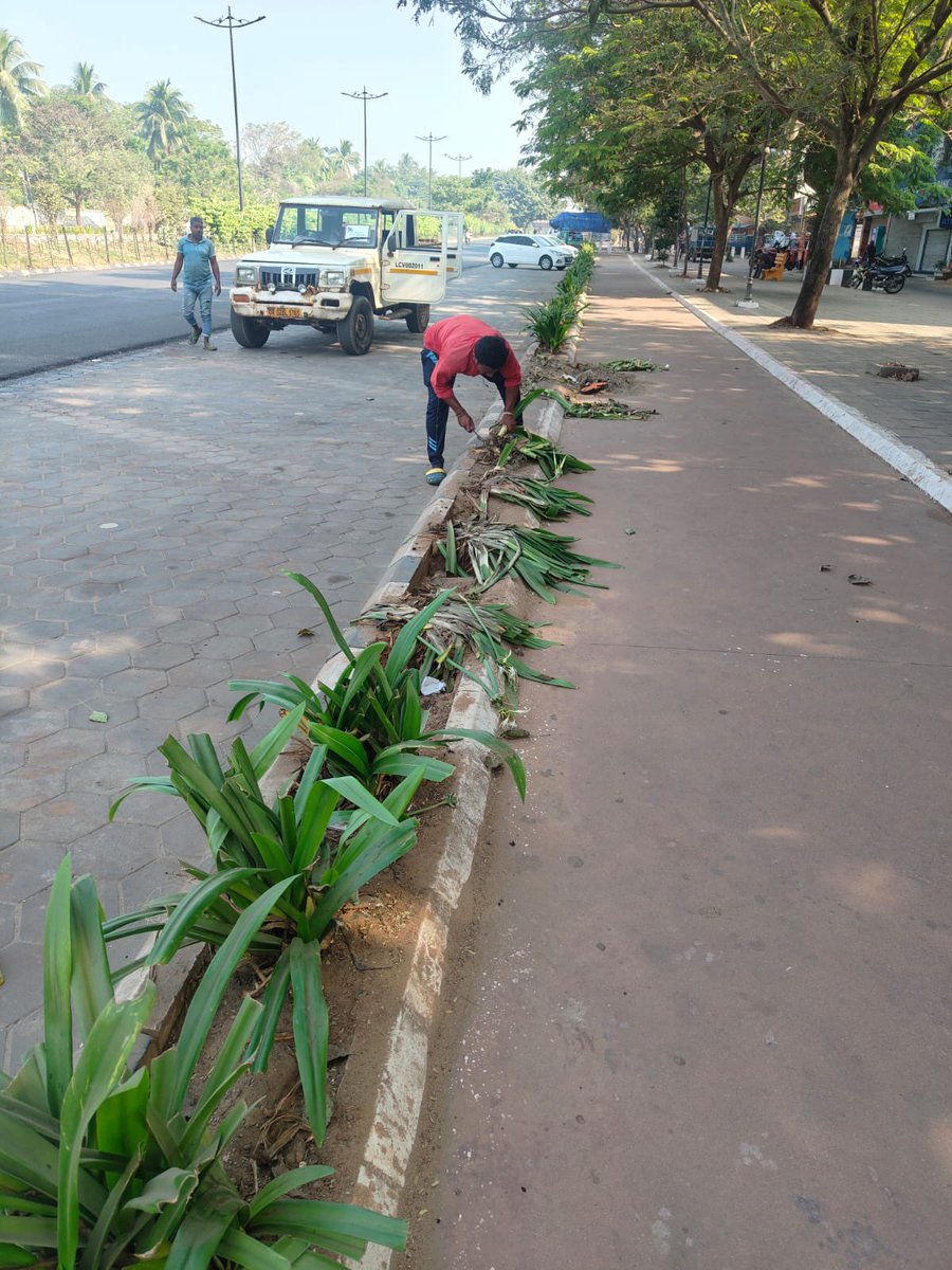 BSCL_BBSR's tweet image. City medians and landscaping are routinely maintained by having trees trimmed, garbage picked up, bushes clipped, and plants replaced. 

#UrbanGreening #CityMaintenance