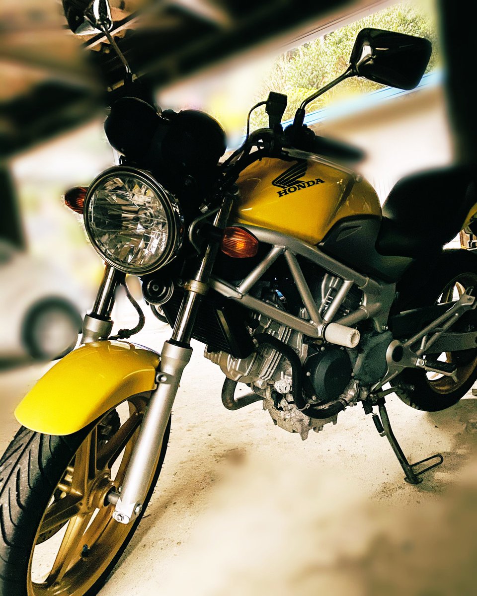 おさるちゃん🐒 (@osaru_monkey25) / Posts / X