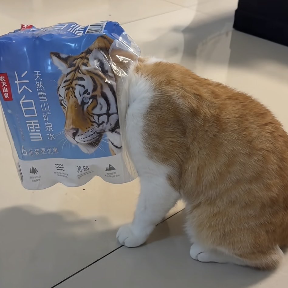 saltcreamlatte's tweet image. .                                                                   이렇게느껴짐