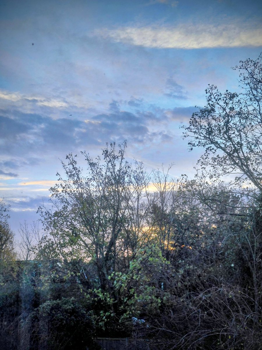 nicolatobias's tweet image. Friday morning.  Earlier from my window #FridayThoughts