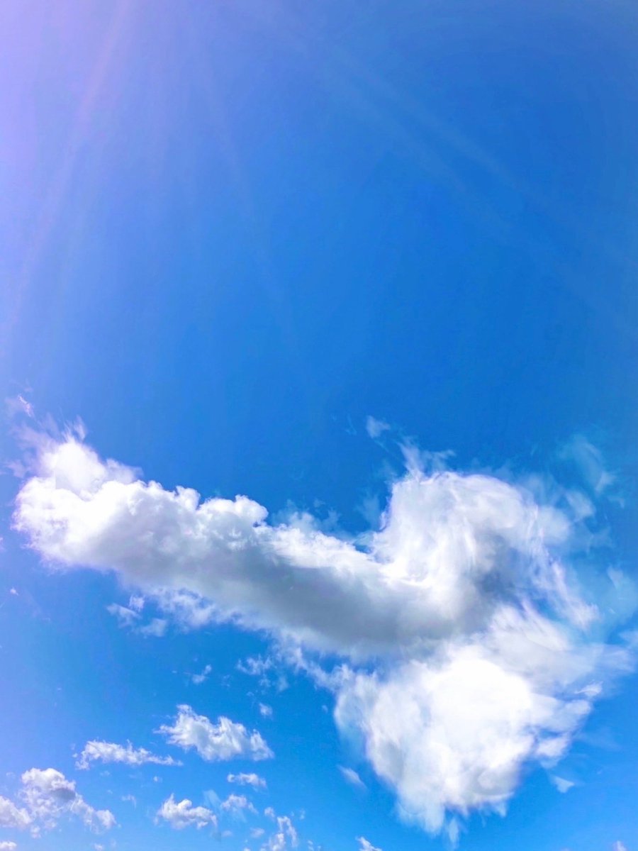 sachi122521's tweet image. 拝啓、空知先生
ついに見つけました🤍
#銀魂