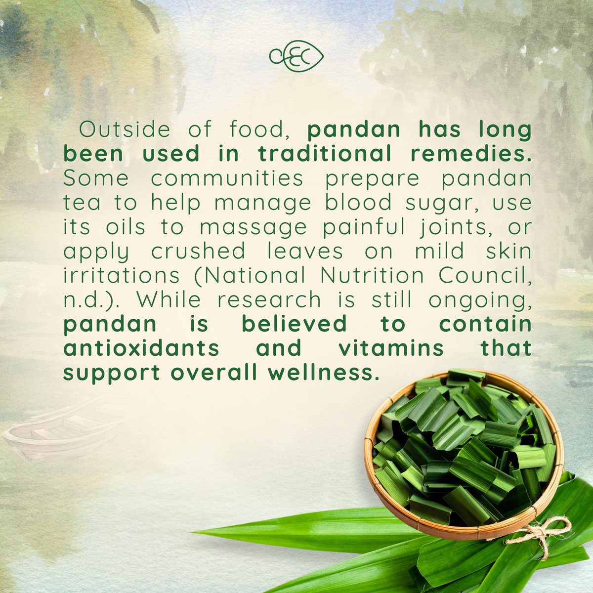 dlsuoec's tweet image. This November, we feature one of the most familiar yet remarkable plants in Filipino households, the Pandan (Pandanus amaryllifolius). 🌿

Known for its sweet aroma and culinary uses, pandan adds fragrance to rice, desserts, and drinks enjoyed across Southeast Asia.