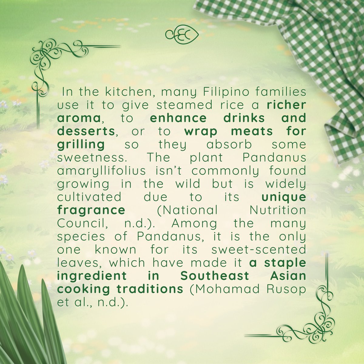 dlsuoec's tweet image. This November, we feature one of the most familiar yet remarkable plants in Filipino households, the Pandan (Pandanus amaryllifolius). 🌿

Known for its sweet aroma and culinary uses, pandan adds fragrance to rice, desserts, and drinks enjoyed across Southeast Asia.