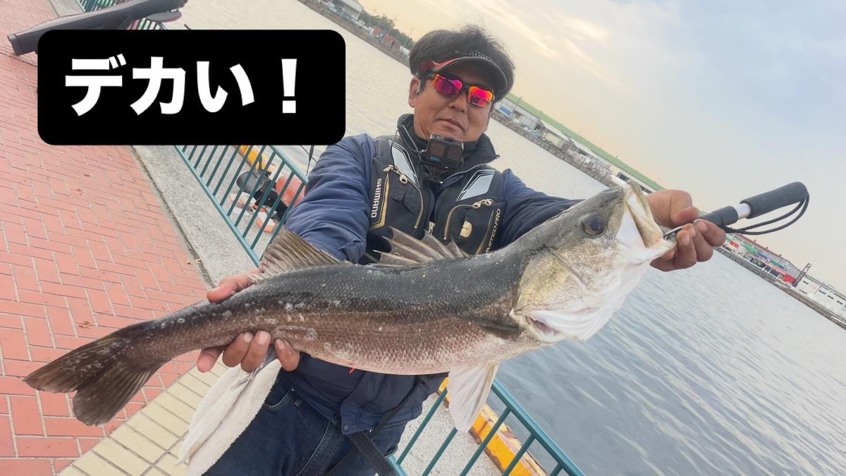 1999Delta's tweet photo. ハリス1.2号で獲れたのは運が良かっただけ
何の自慢にもならない
チヌ釣りしてたので許してほしい🙏 https://t.co/IzTHjGn0ua