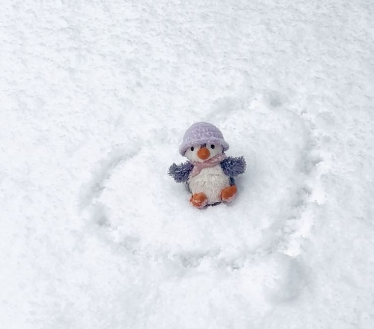 kslinglingks's tweet image. 남극으루 오새요