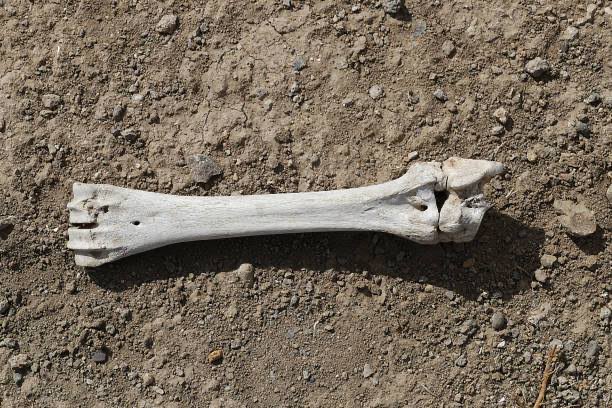 They laugh at Wi-Fi — a cloud of invisible hands that bring them news, work and song — yet balk at the language their bones have always spoken: energy, frequency, vibration. An elder would smile at both, because wisdom measures truth by effect, not by the prettiness of a name...