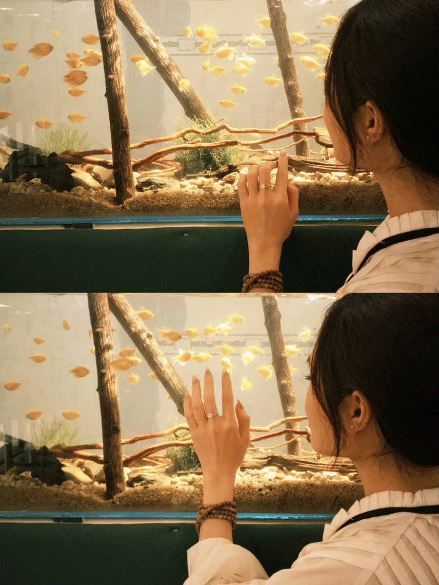 Linh Nguyễn tweet media