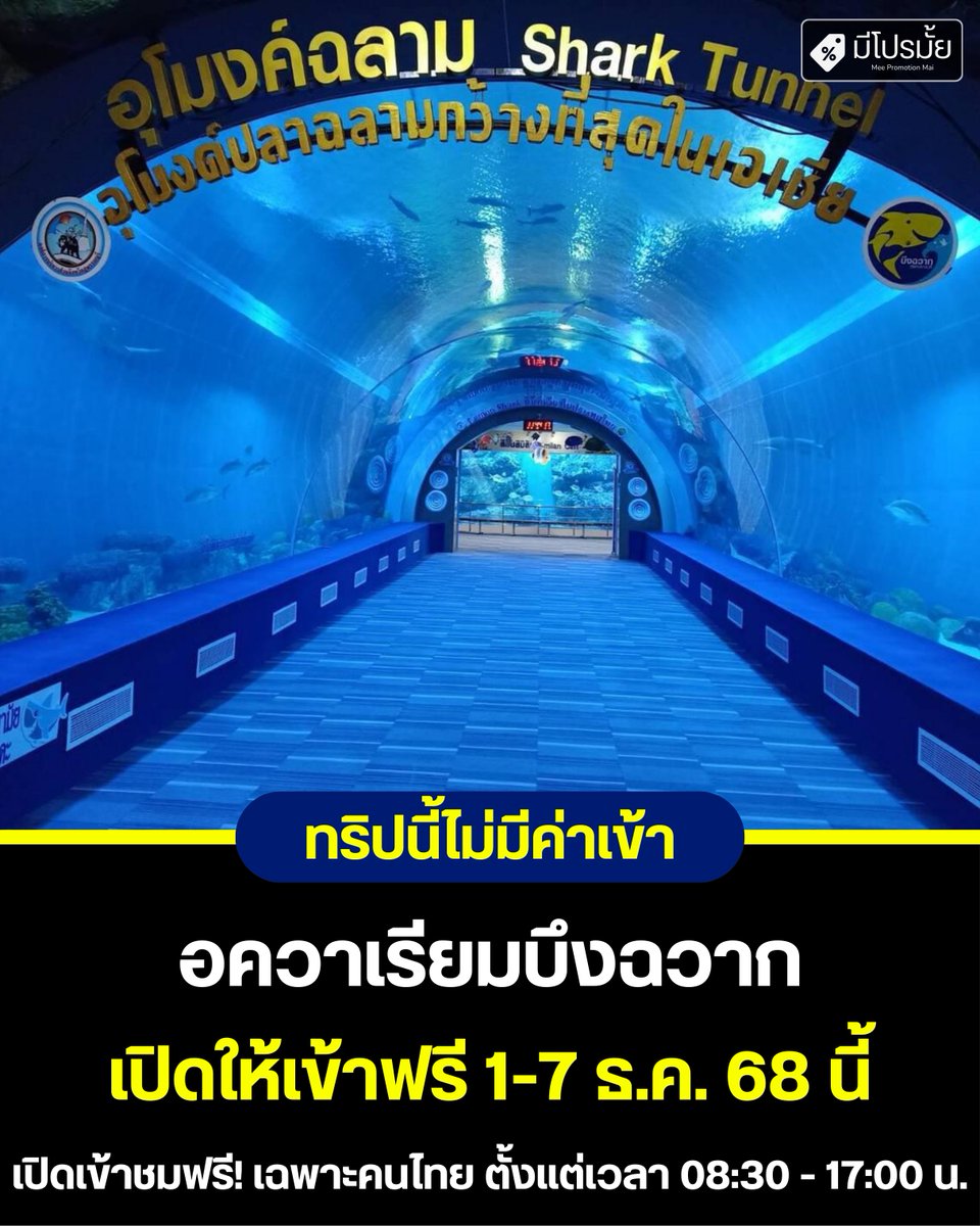 MeePromotionMai's tweet photo. “ทริปนี้ไม่มีค่าเข้า…แต่มีค่าความสุข” ✨
บึงฉวาก สุพรรณบุรี เปิดให้เข้าชม 

ฟรี 1–7 ธ.ค. 2568
ทั้งอุโมงค์น้ำจืด อุโมงค์ปลาฉลาม และโซนจระเข้ 

เปิดถึง 17:00 น.

#มีโปรมั้ย #meepromotion #meepromai https://t.co/JoHlOXHgoJ