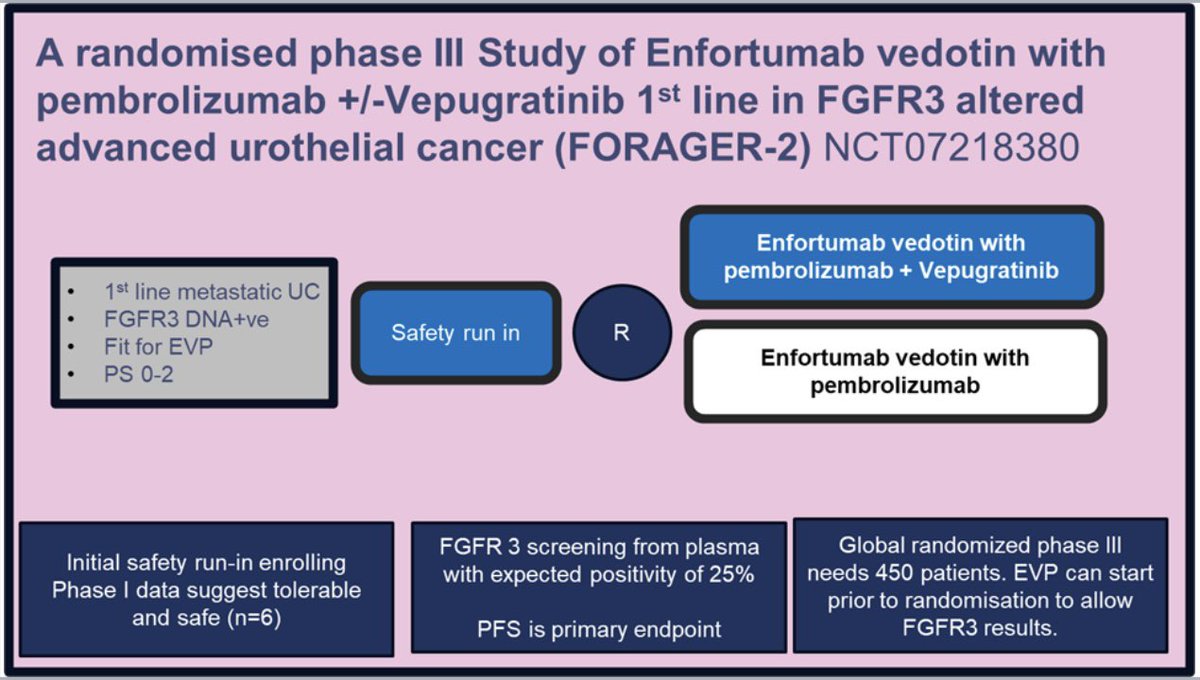 Tom Powles tweet media