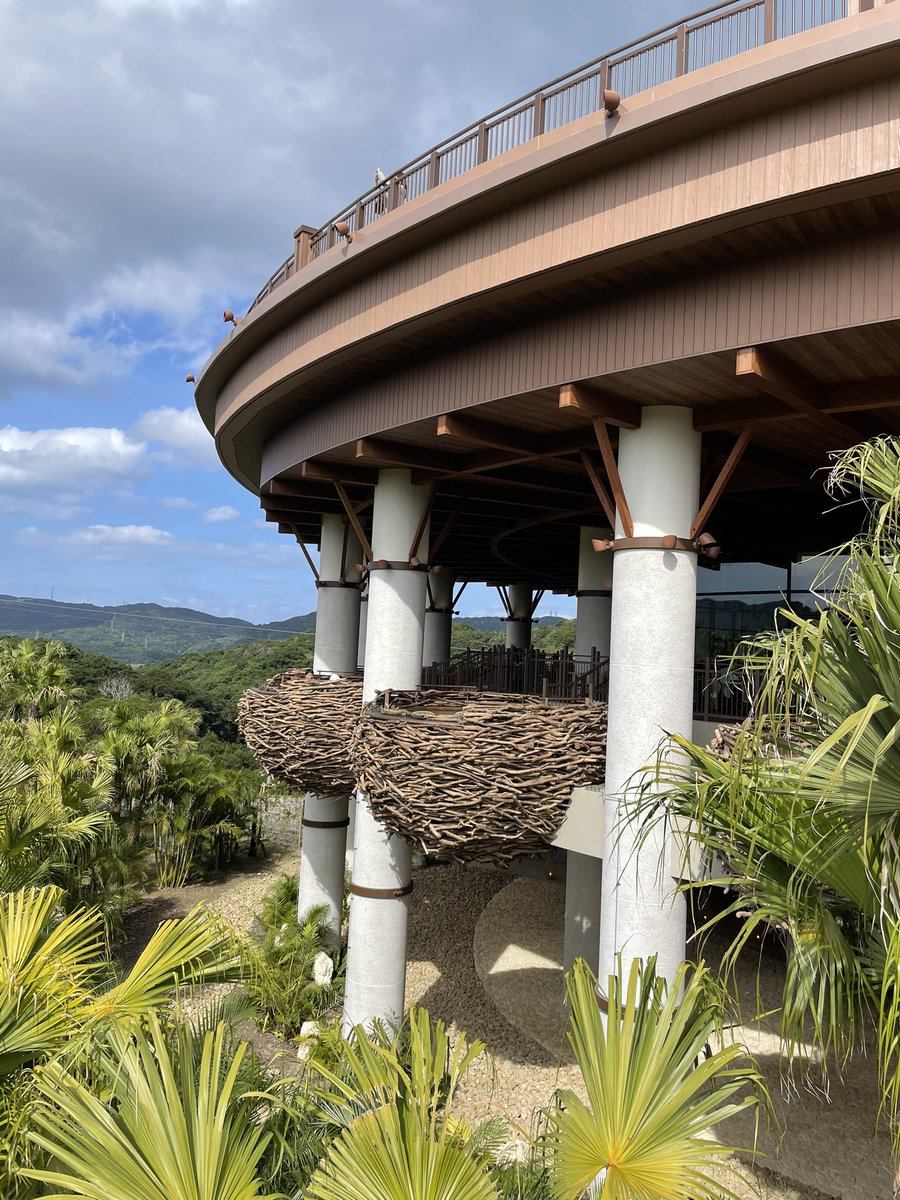 takenokonocon's tweet image. ジャングリア沖縄に視察に行ったので感想✅
日時は2025年11月下旬の平日。
・駐車場は10時時点で20%。エントランス正面の駐車場のみしかないのかは不明。
・駐車場、入場も事前購入したQRを使用。代替の救済措置はなさそう。
・園内はガラガラ。超ガラガラ。
・そのくせアトラクションは待ち時間あり。…