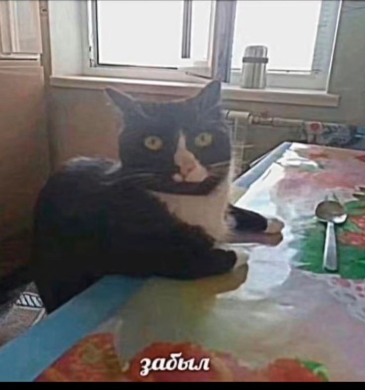 Фух бля я жива , я не умирла честно у меня просто мен появился