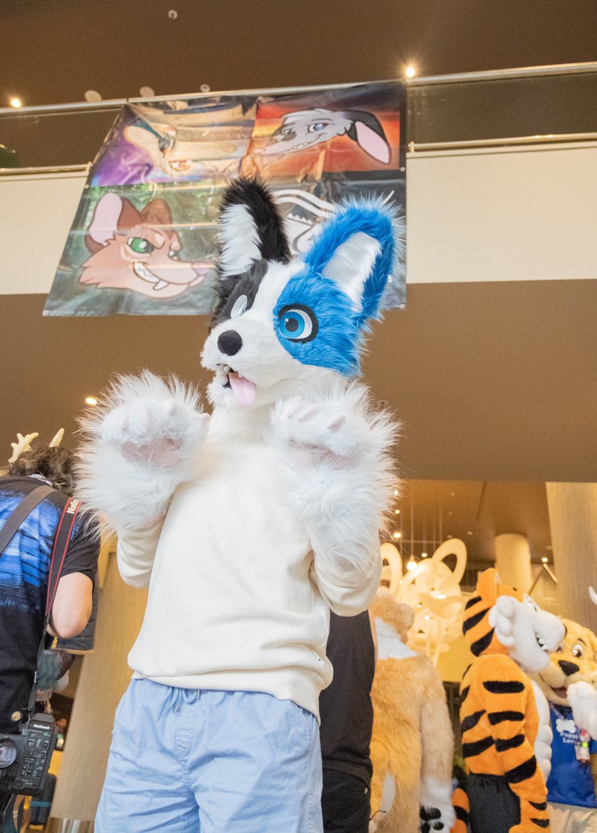 Blurbbub's tweet image. Okay, got off my ass and finally finished my Aurawra album. 

Peeps, you know the deal. If you think you were sniped by me during the con, gimme a dm and I'll link the album :3

💙 @AeroBeforeDark